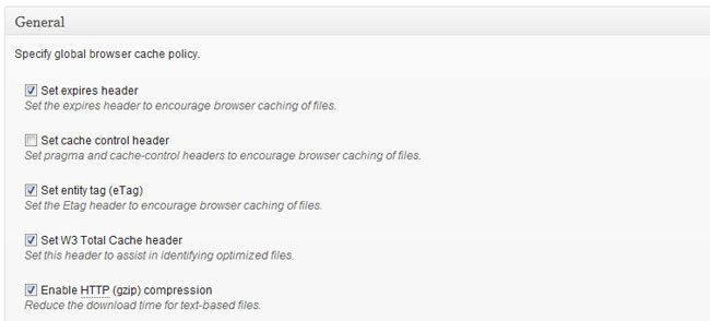 Browser cache settings - W3 Total Cache