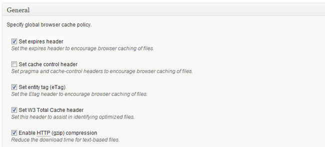 Browser cache global settings - W3 Total Cache