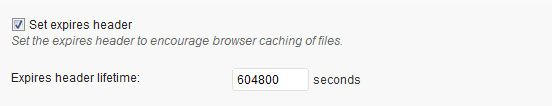 Browser Expires Header