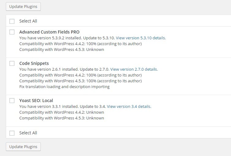 Plugin updates in WordPress